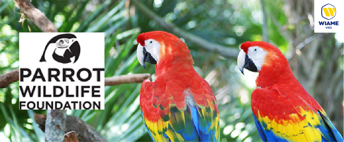Parrot Wildlife Foundation